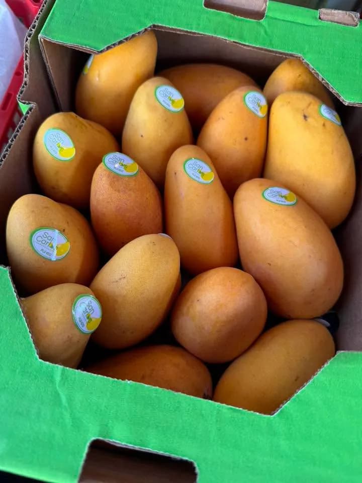 Xoài (kg) 1