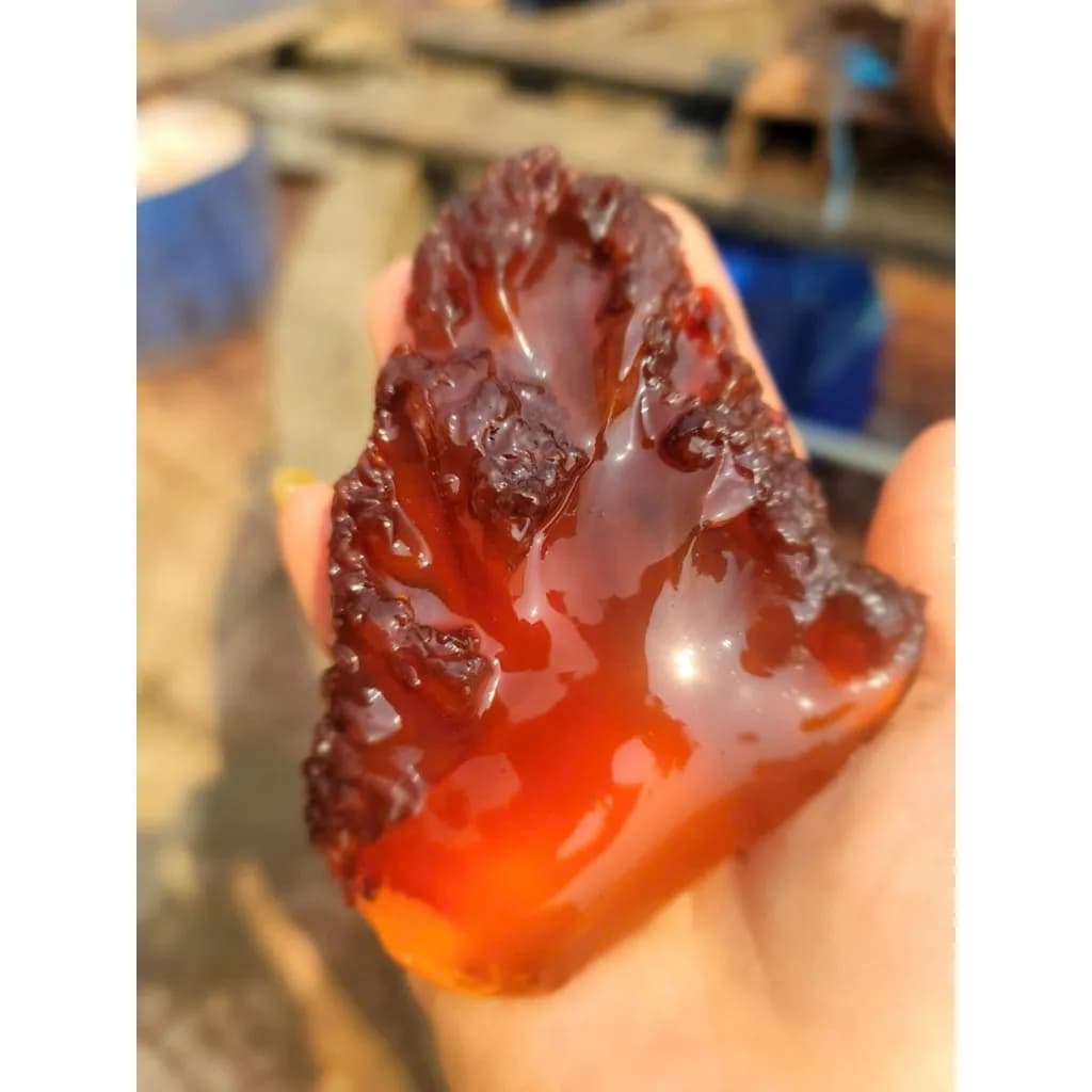 Chân sứa đỏ (kg)