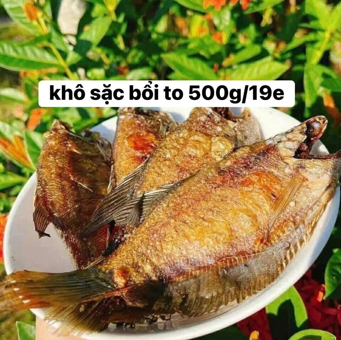 Khô sặc bổi to (500gr)