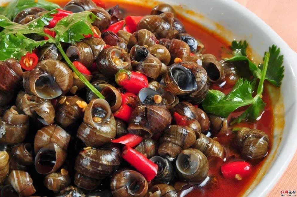 Ốc gạo xào cay (ab)