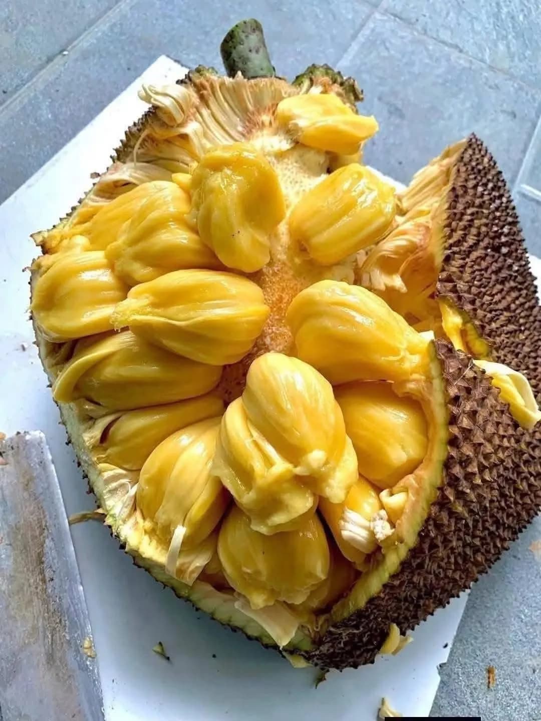 Mít mật(kg)