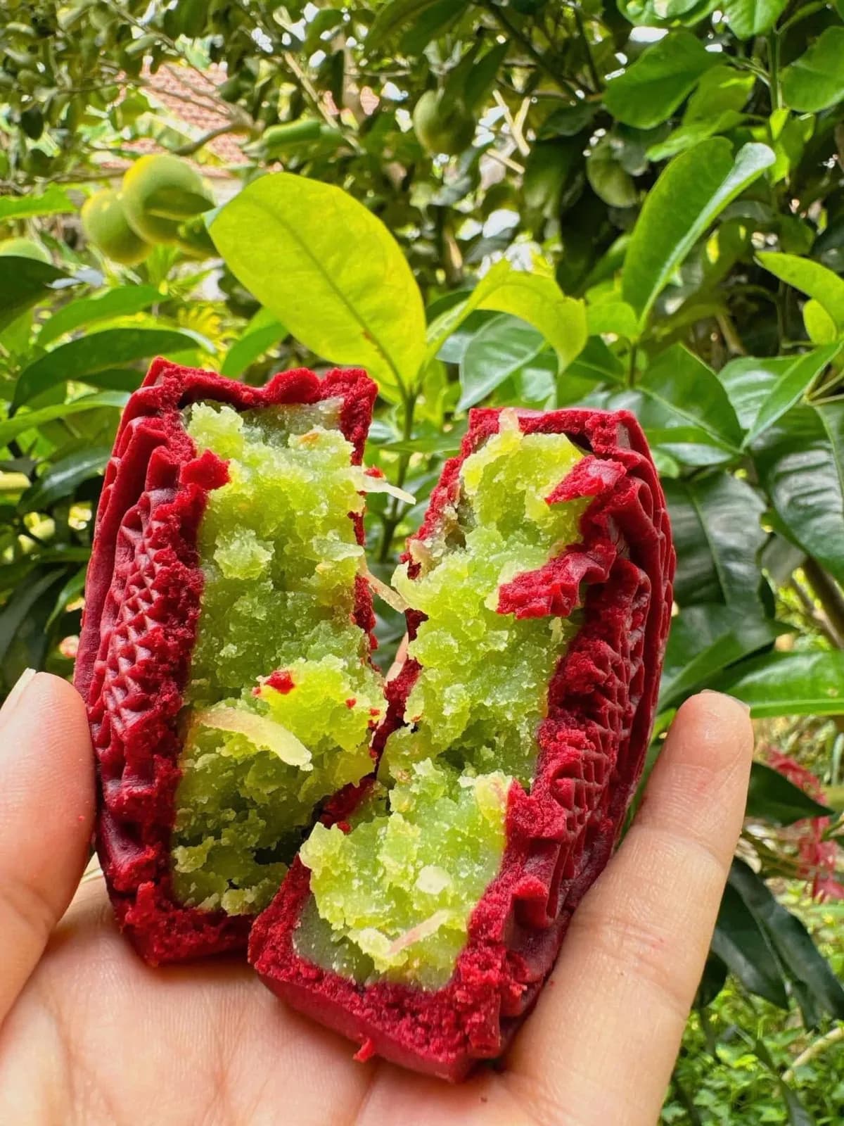 Nướng đậu đỏ