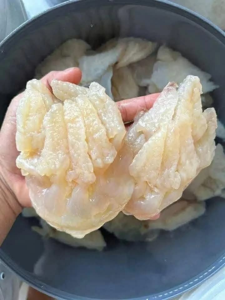 Chân sứa (kg)