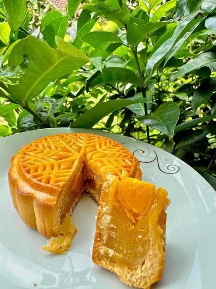 Nướng sữa dừa