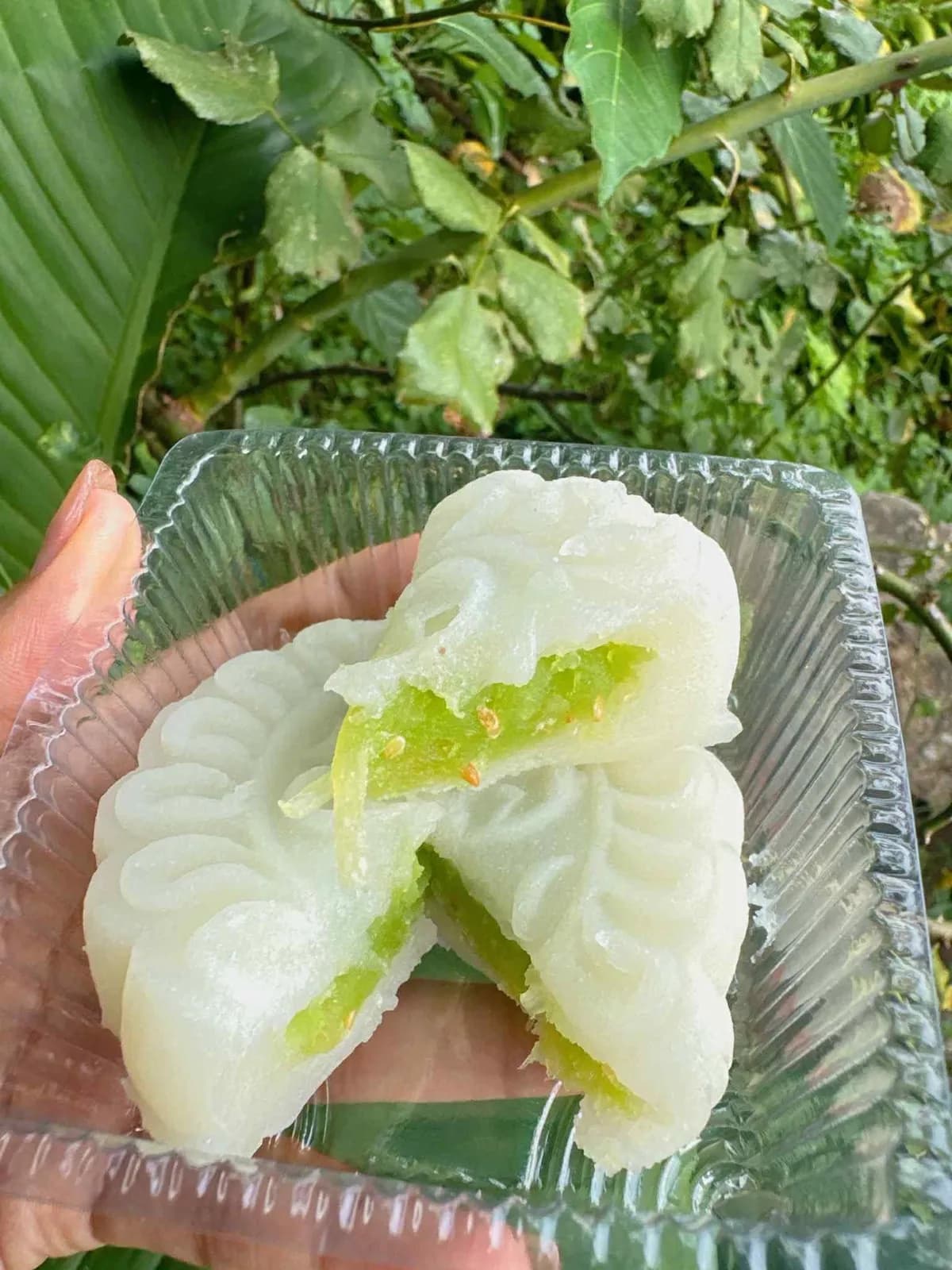 Nướng - dẻo trà xanh