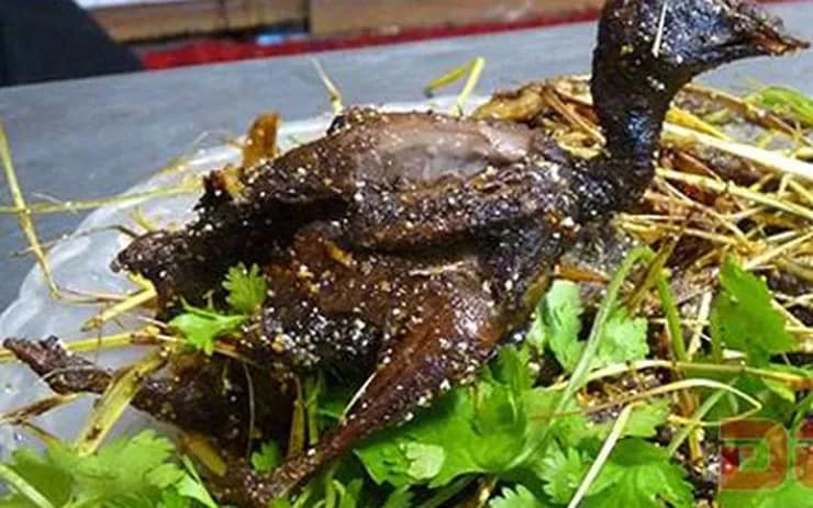 Chim cút rang muối