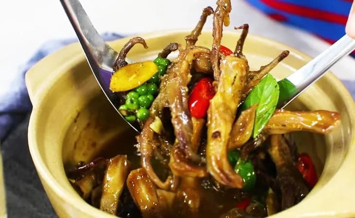 Lưỡi vịt sapo 1