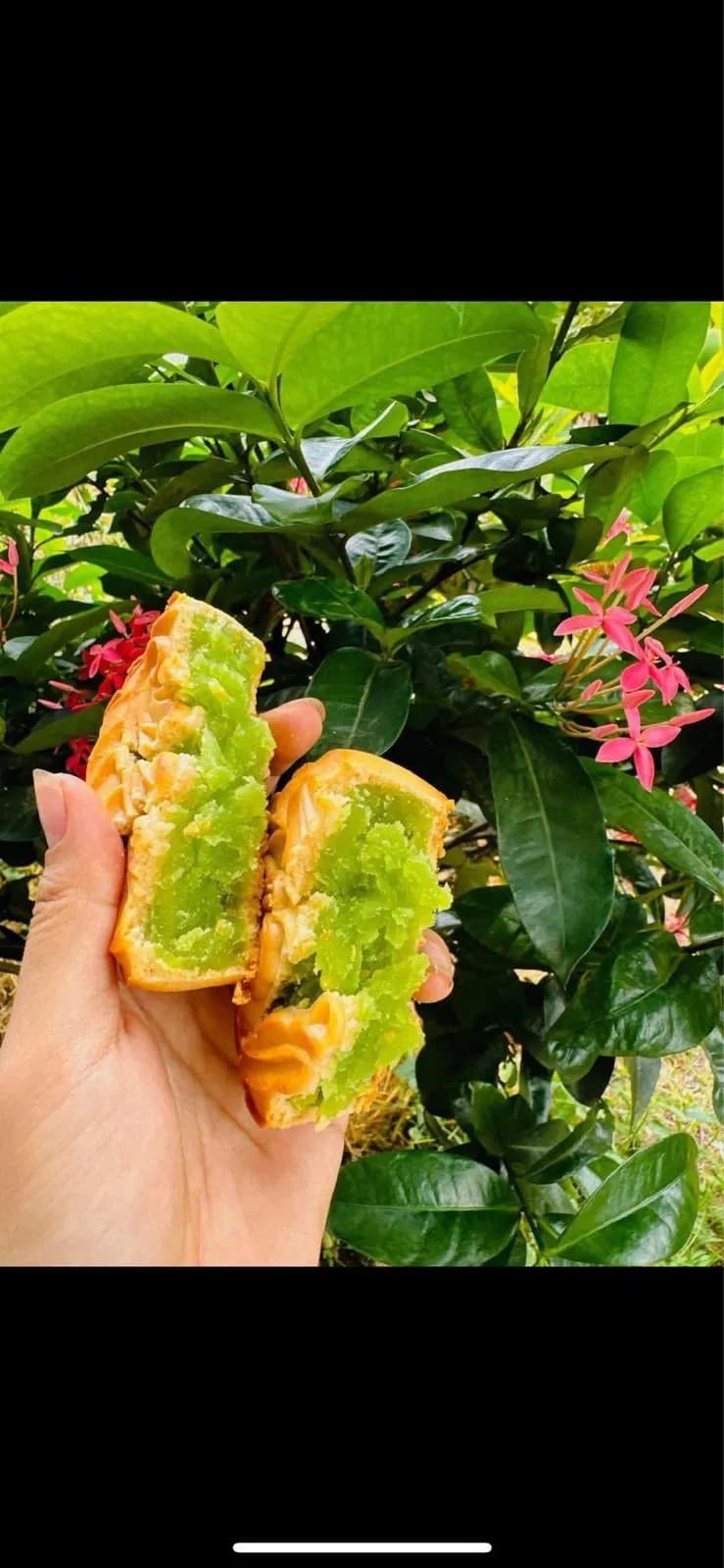 Nướng - dẻo đậu xanh