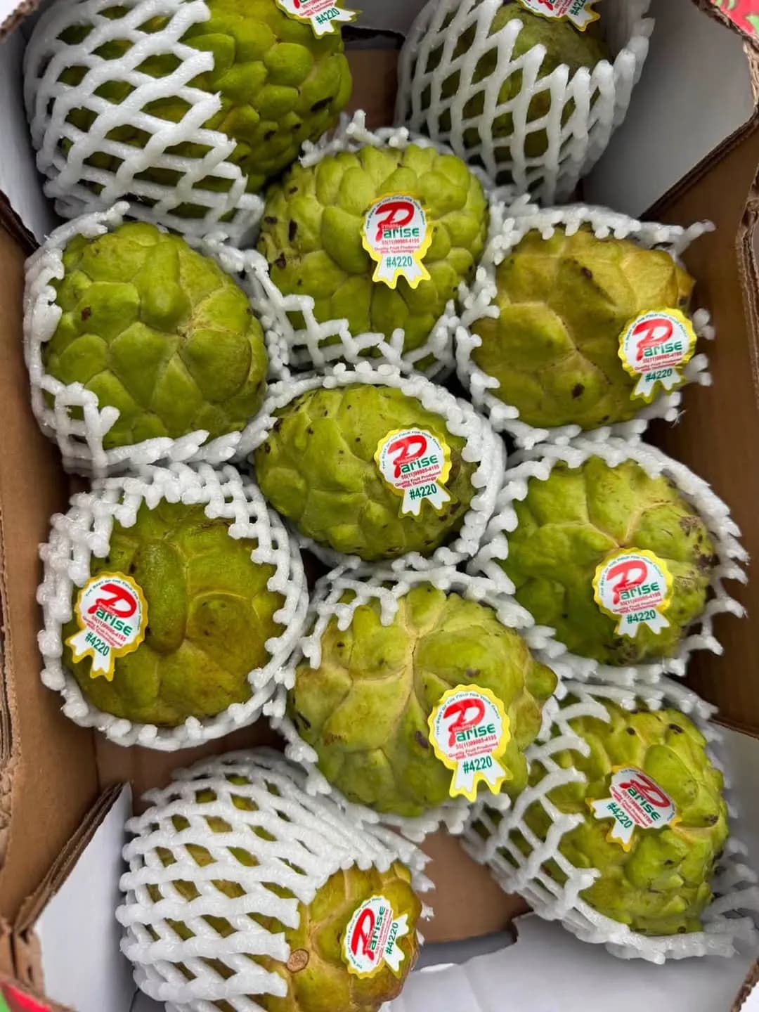 Na Dai (thùng)