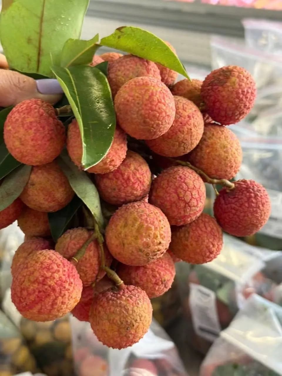 Vải Thiều (kg)