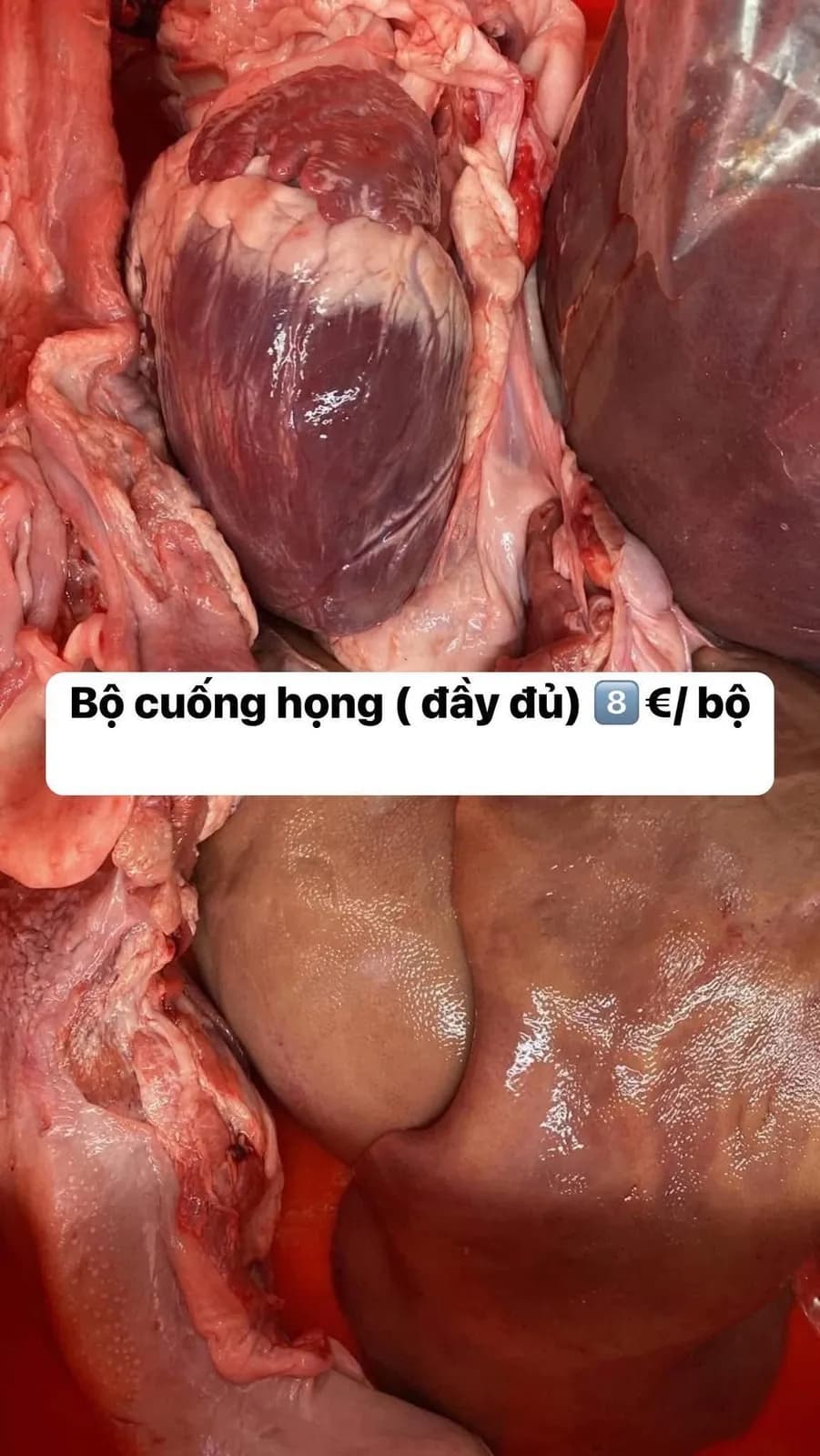 Bộ cuống họng (bộ)