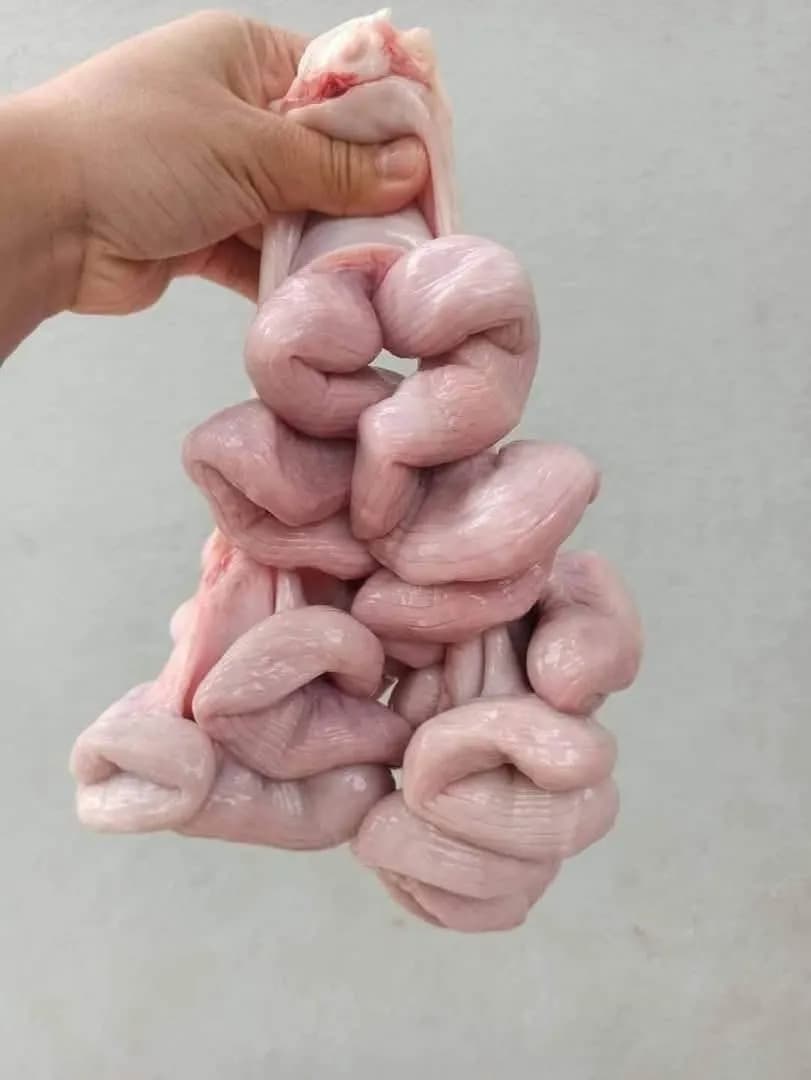 Tràng non (kg)