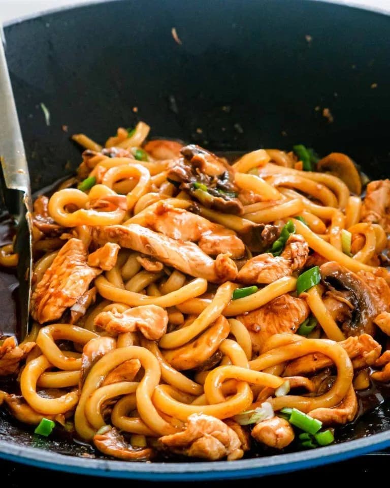 Mì udon thịt gà 1