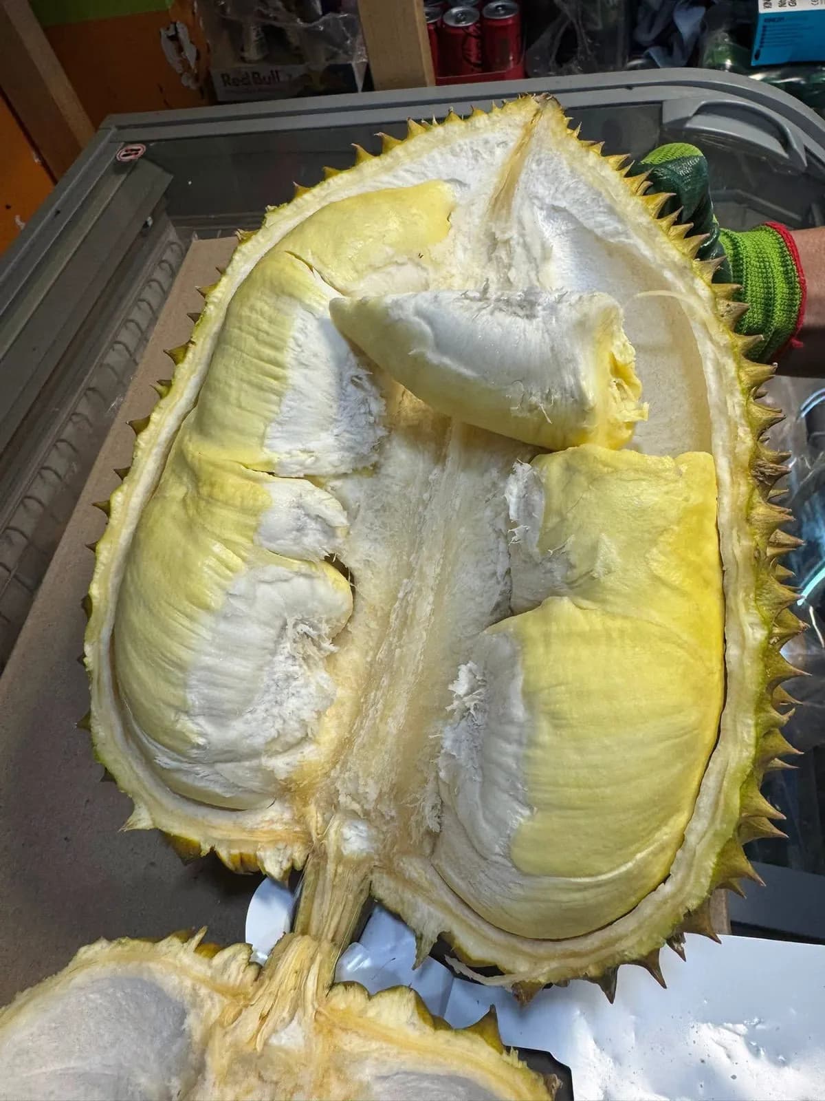 Sầu Monthong 1